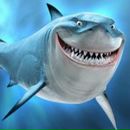 Фотография Ковальского Вячеслава