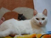 Фотография Дробяза Алексея