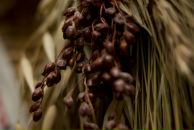 Олександр Нєвскій фотография #4 (источник - https://vk.com/id1852701)