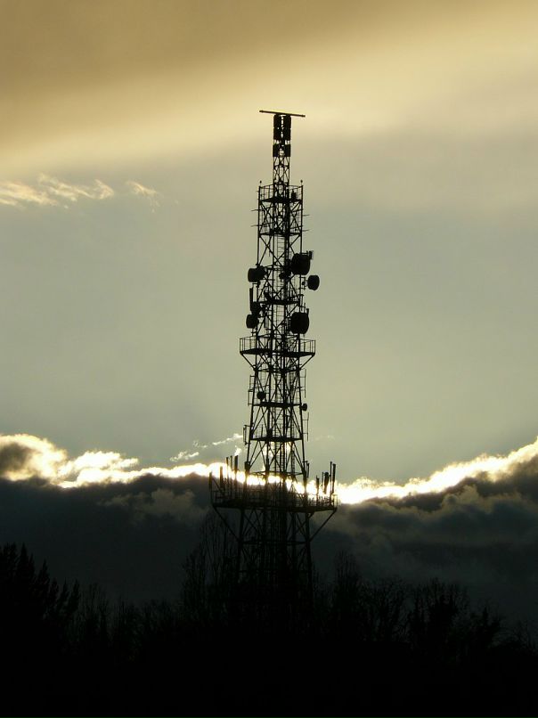 Александр Синченко фотография #2