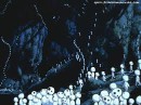 Sam Without фотография #25 (источник - https://vk.com/id87474705)
