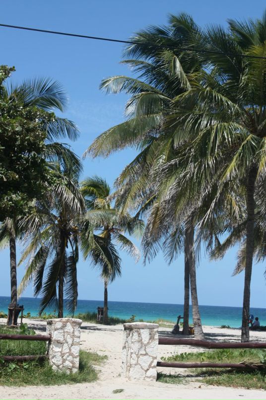 Вика Маткаш фотография #10