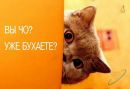 Олюська Іващук фотография #7 (источник - https://vk.com/id61831912)