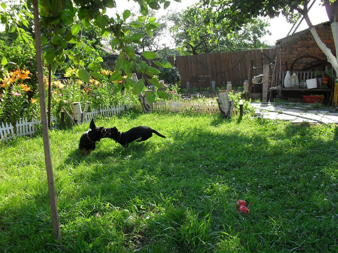 Александр Лысов фотография #21