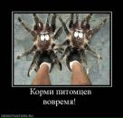 Сергій Погоріло фотография #50 (источник - https://vk.com/id59841416)