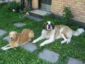 Фотография Марецкой Валентины