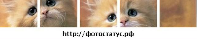 Юля Матвійчук фотография #48 (источник - https://vk.com/id135907201)