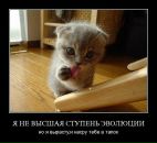 Masha :-) фотография #33 (источник - https://vk.com/id10666606)