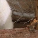 Василь Дмитрів фотография #34 (источник - https://vk.com/id98013424)