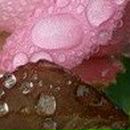 Людок Корнійчук фотография #41 (источник - https://vk.com/id21605957)