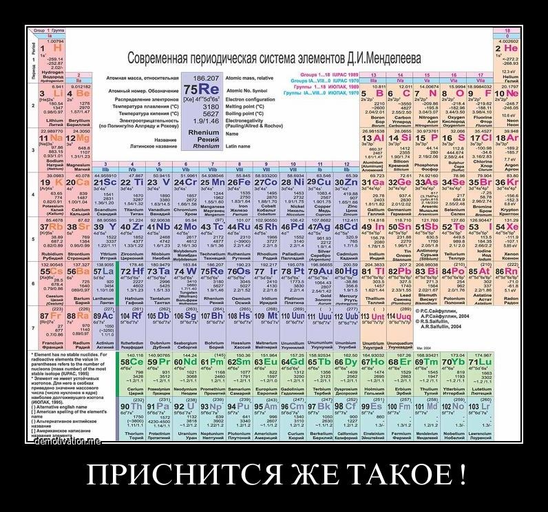 Дмитрий Кашкаров фотография #39