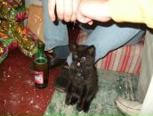 Андрій Мельник фотография #18 (источник - https://vk.com/id40295600)