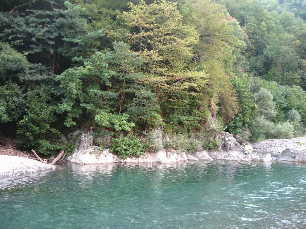 Дмитрий Головачёв фотография #20