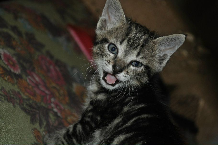 №13, Вадим Литвиненко №13, Вадим Литвиненко