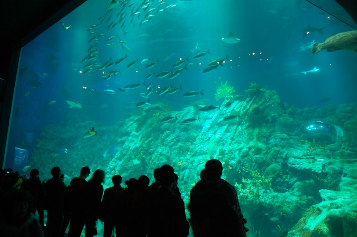 Антон Постников фотография #7