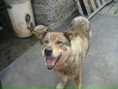 Фотография Тихоновой Наталии