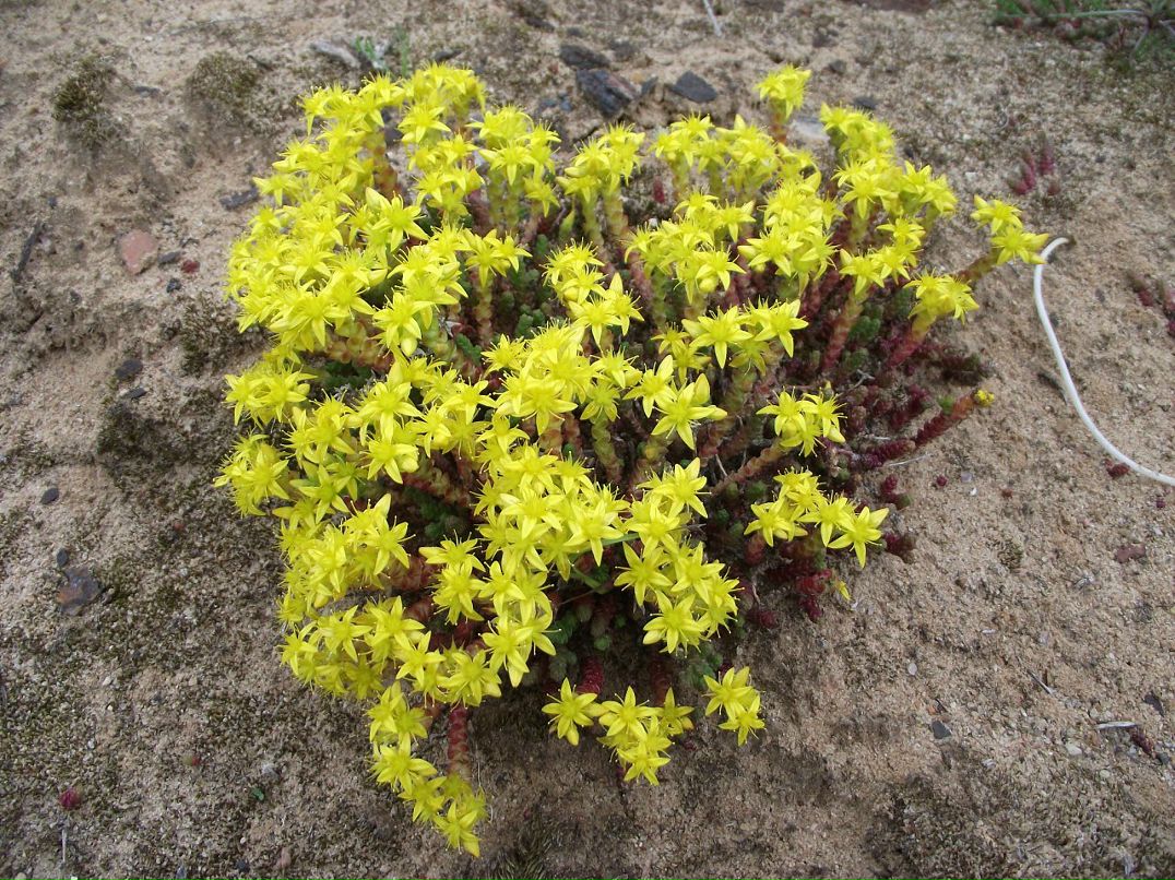 Аня Грищенко фотография #49