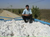 Konstantin Sharipov фотография #30 (источник - https://vk.com/id840186)