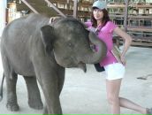 Фотография Gurova Irina