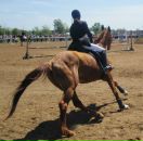 Фотография Sverchkova Allochka