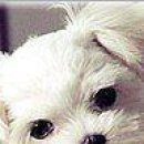 Надя Єрікова фотография #20 (источник - https://vk.com/id144861250)