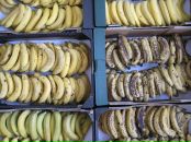 Фотография Вайтеховича Станислава