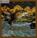 Фотография Опушнева Дмитрия