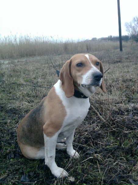 Валентин Ждан фото №48