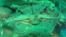 Фотография Онищенко Мадины