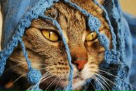 Фотография Кириленковой Галины