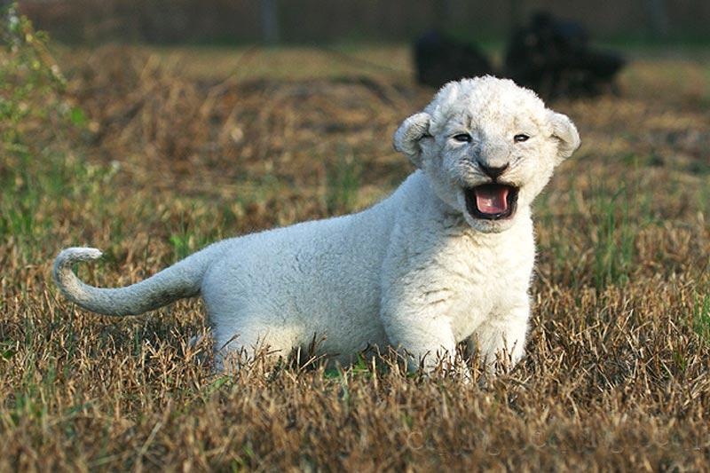 Дмитрий Зернин фотография #22