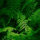 Вадім Корчинський фотография #45 (источник - https://vk.com/id134108350)