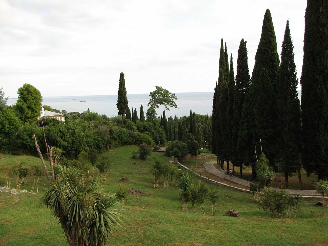 Александр Евсютин фотография #29