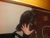 Діма Боднар фотография #32 (источник - https://vk.com/id106157077)