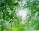 Ельвіра Юришинець фотография #21 (источник - https://vk.com/id153243566)