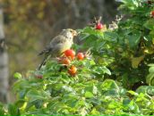 Фотография Гладкой Анастасии