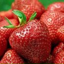 Фотография Добрыдня Антона