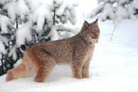 Фотография Шлыкова Сергея