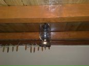 Міша Мадай фотография #21 (источник - https://vk.com/id55190373)