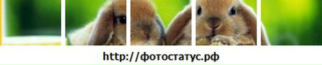 Віталій Джичко фотография #28 (источник - https://vk.com/id54964857)