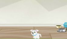 Андрій Дигас фотография #14 (источник - https://vk.com/id119808375)