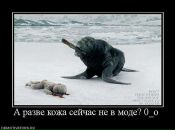 Фотография Соколовой Марии
