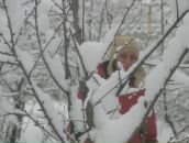 Фотография Бойченко Светланы