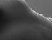 Віола Коваленко фотография #11 (источник - https://vk.com/id159830121)