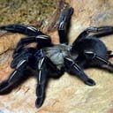 Сергій Кравченко фотография #30 (источник - https://vk.com/id151338045)