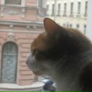 Фотография Васильевой Марии