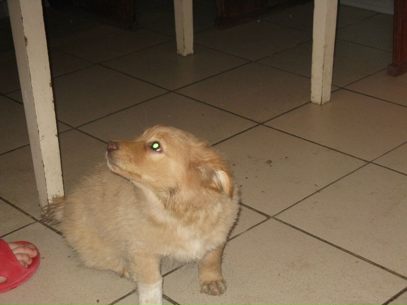 Дмитрий Бурлаков фотография #31