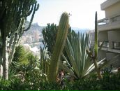 Марія Стасів фотография #9 (источник - https://vk.com/id116759213)