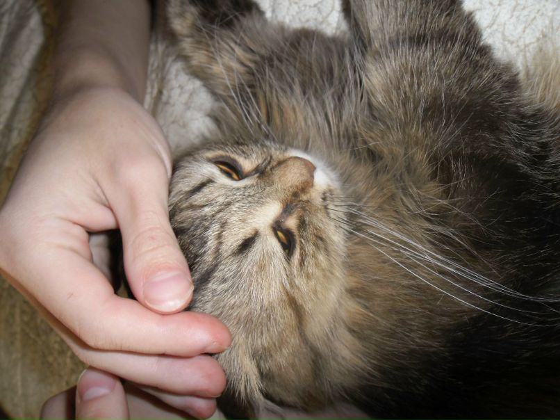 Женя Дмитриев фотография #36