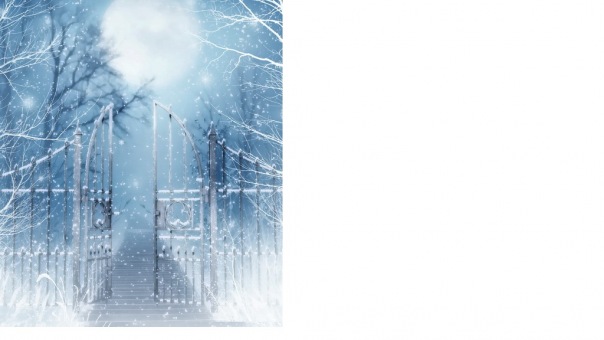 Dashiko Dear фото №6